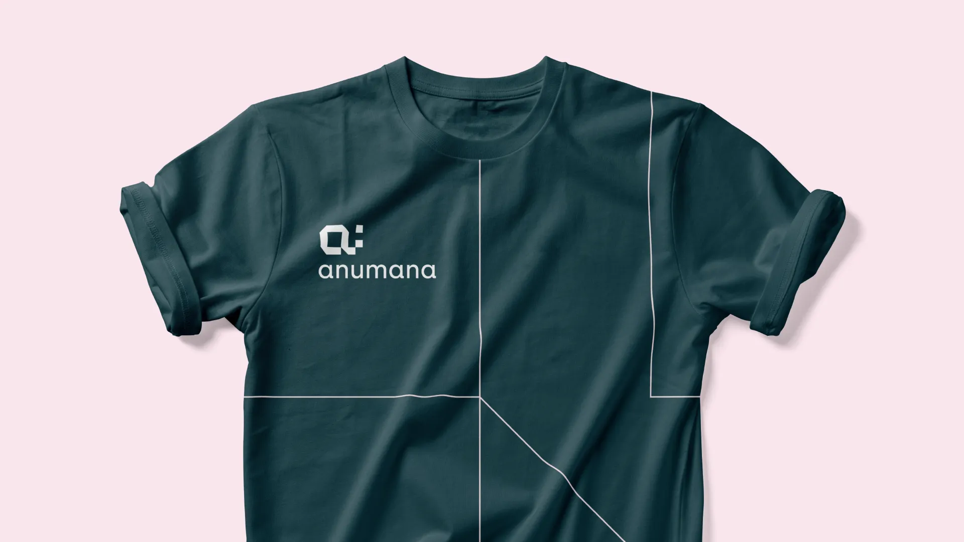 Example of work for Anumana
