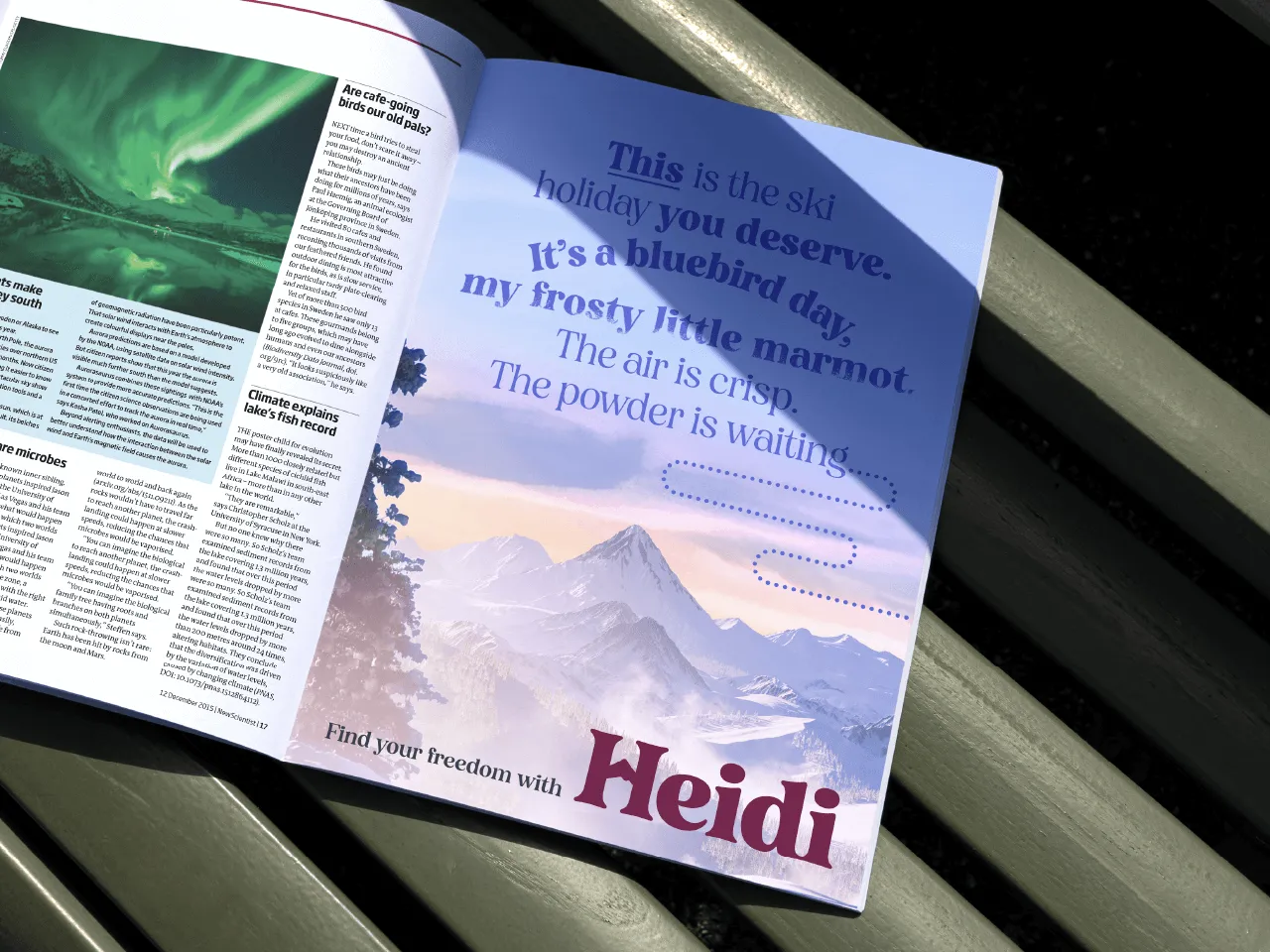 Example of work for Heidi Peak Season Campaign