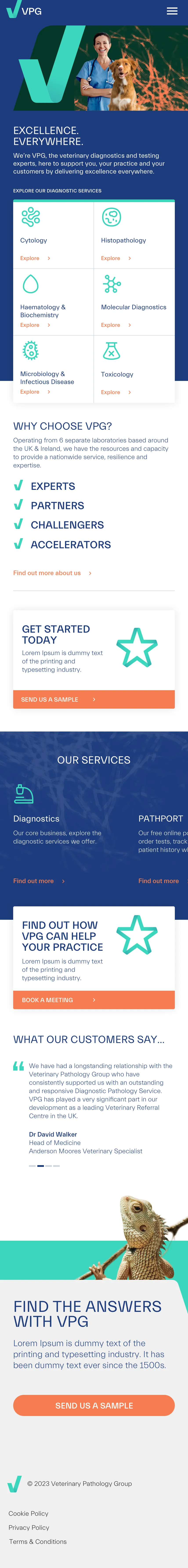 Example of work for VPG