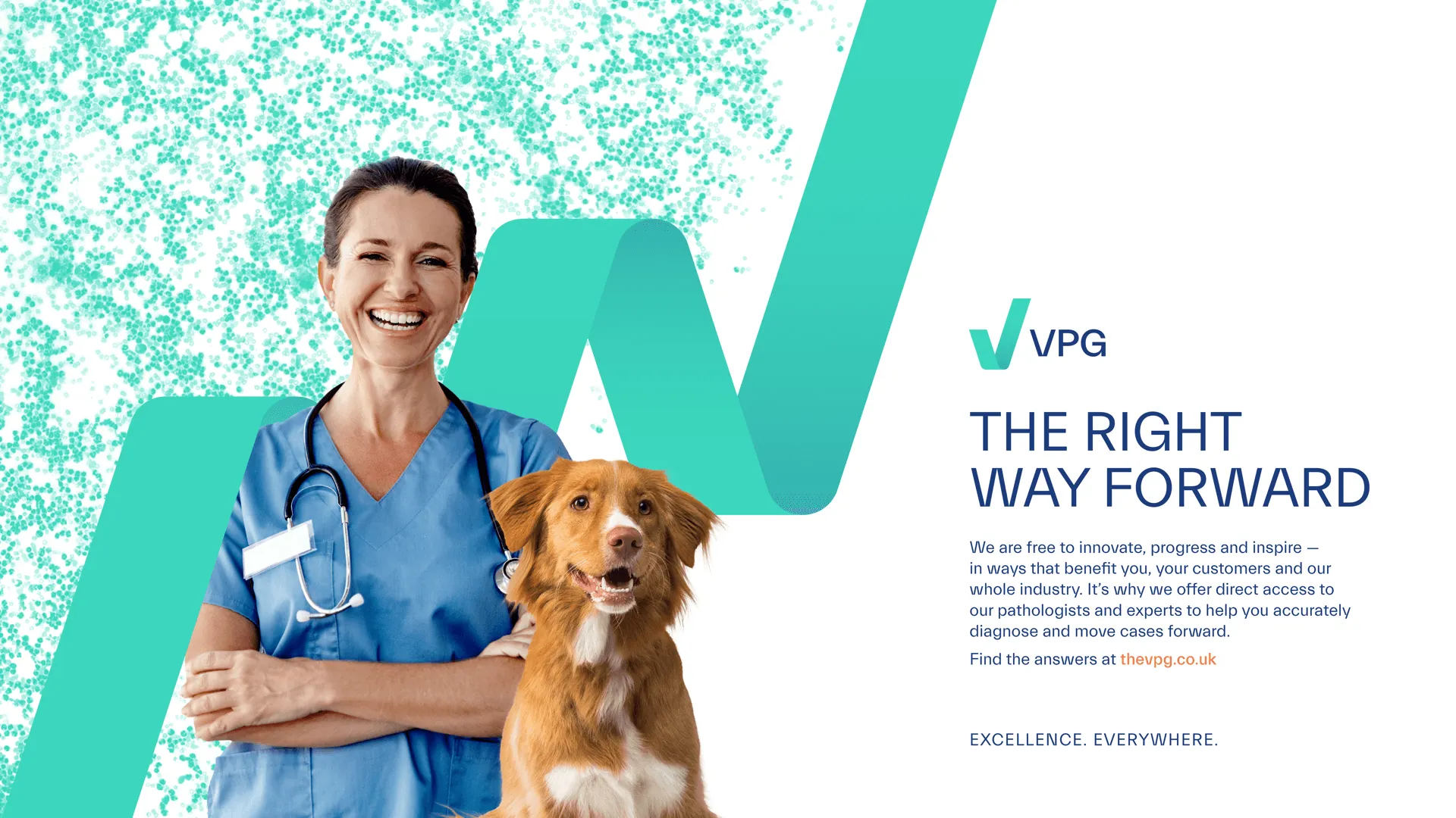 Example of work for VPG
