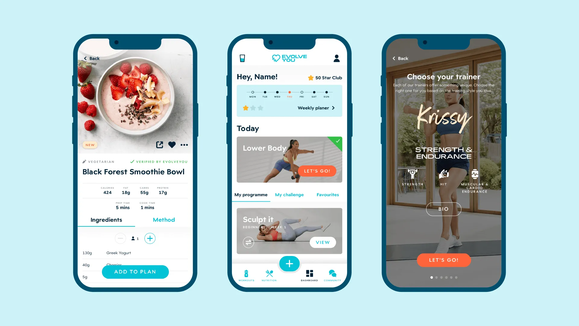 Example of work for EvolveYou
