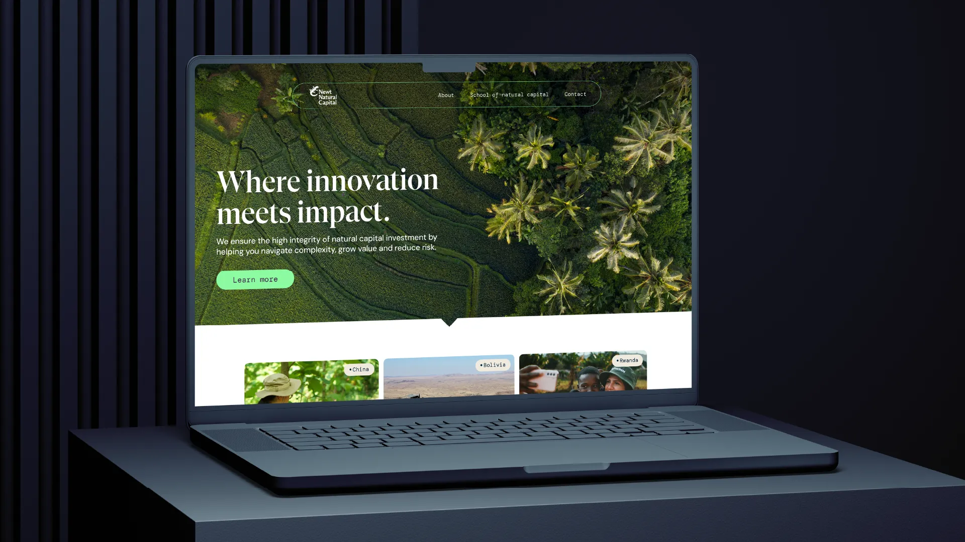 Example of work for Newt Natural Capital