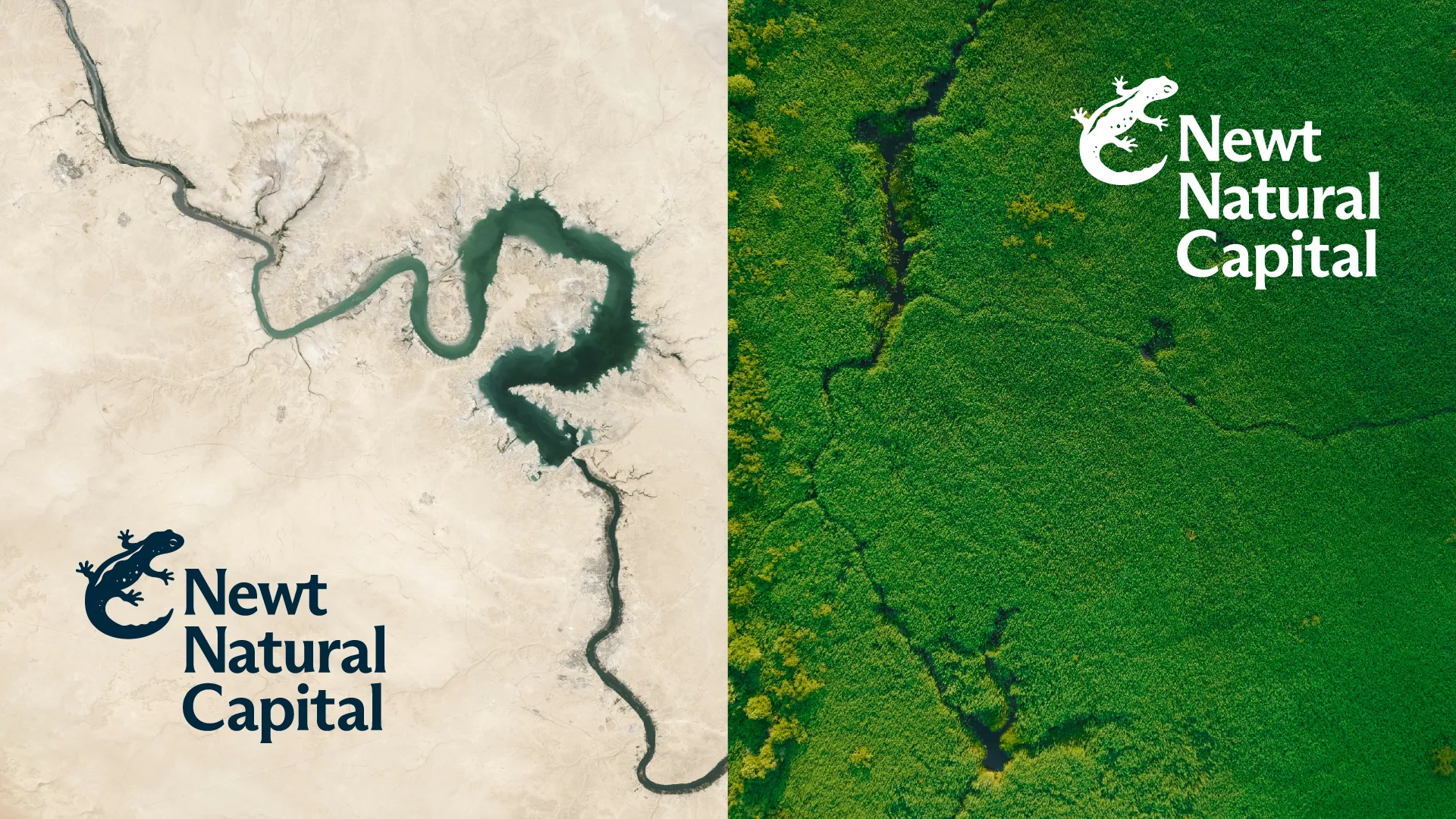 Example of work for Newt Natural Capital