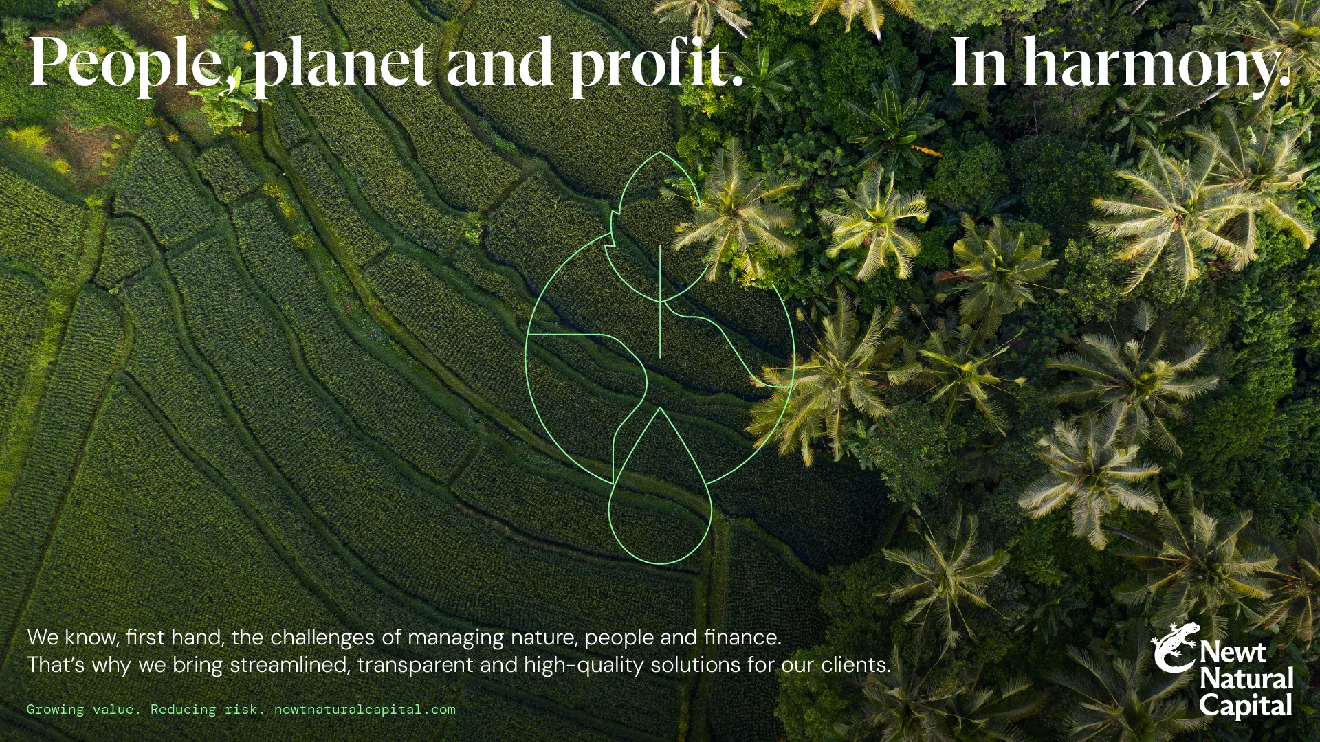 Example of work for Newt Natural Capital