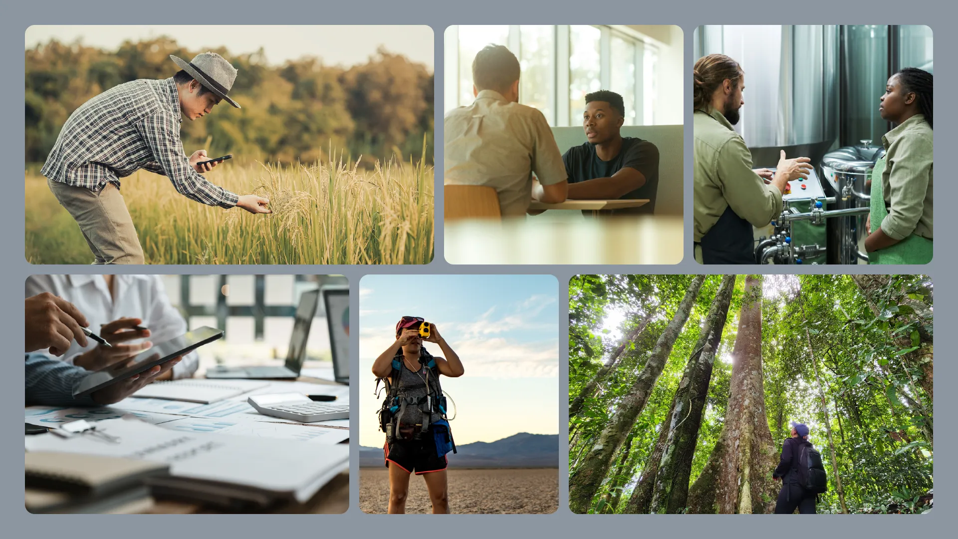 Example of work for Newt Natural Capital