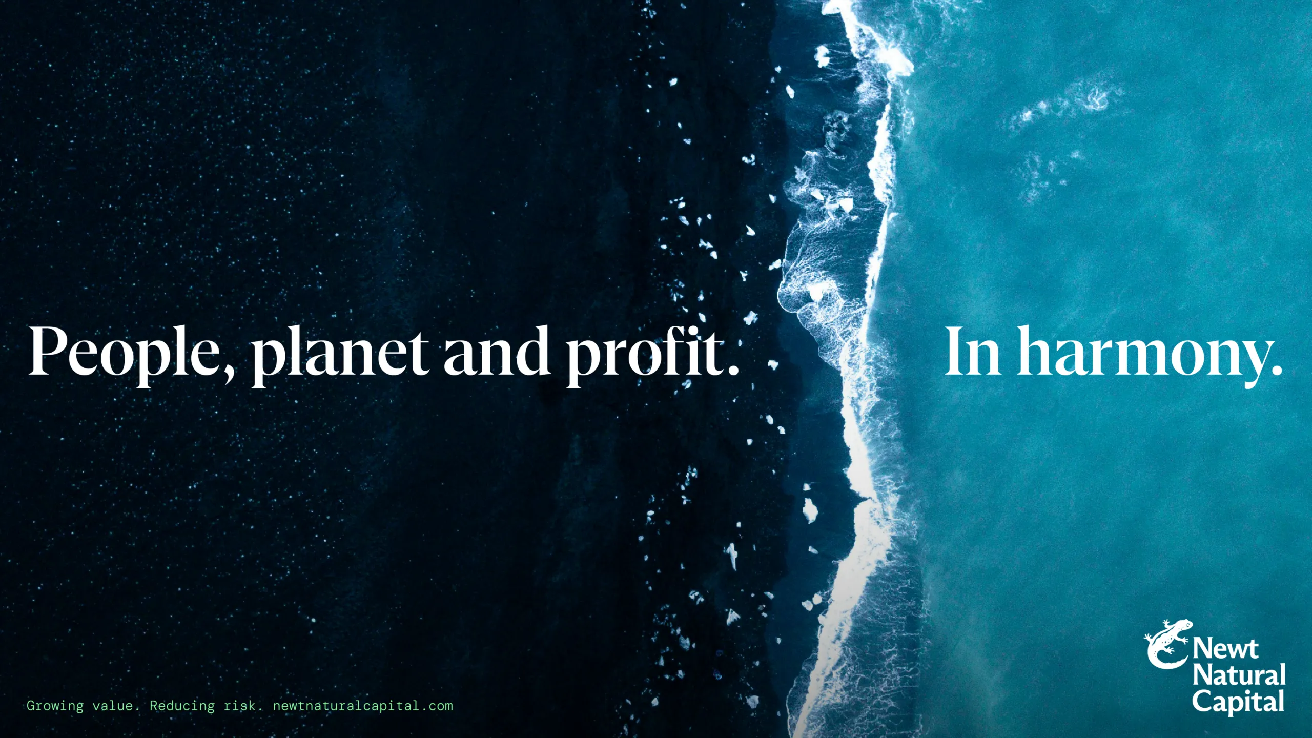 Image showing the brand work for Newt Natural Capital