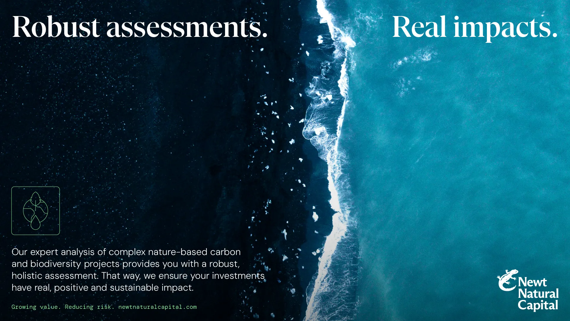 Example of work for Newt Natural Capital