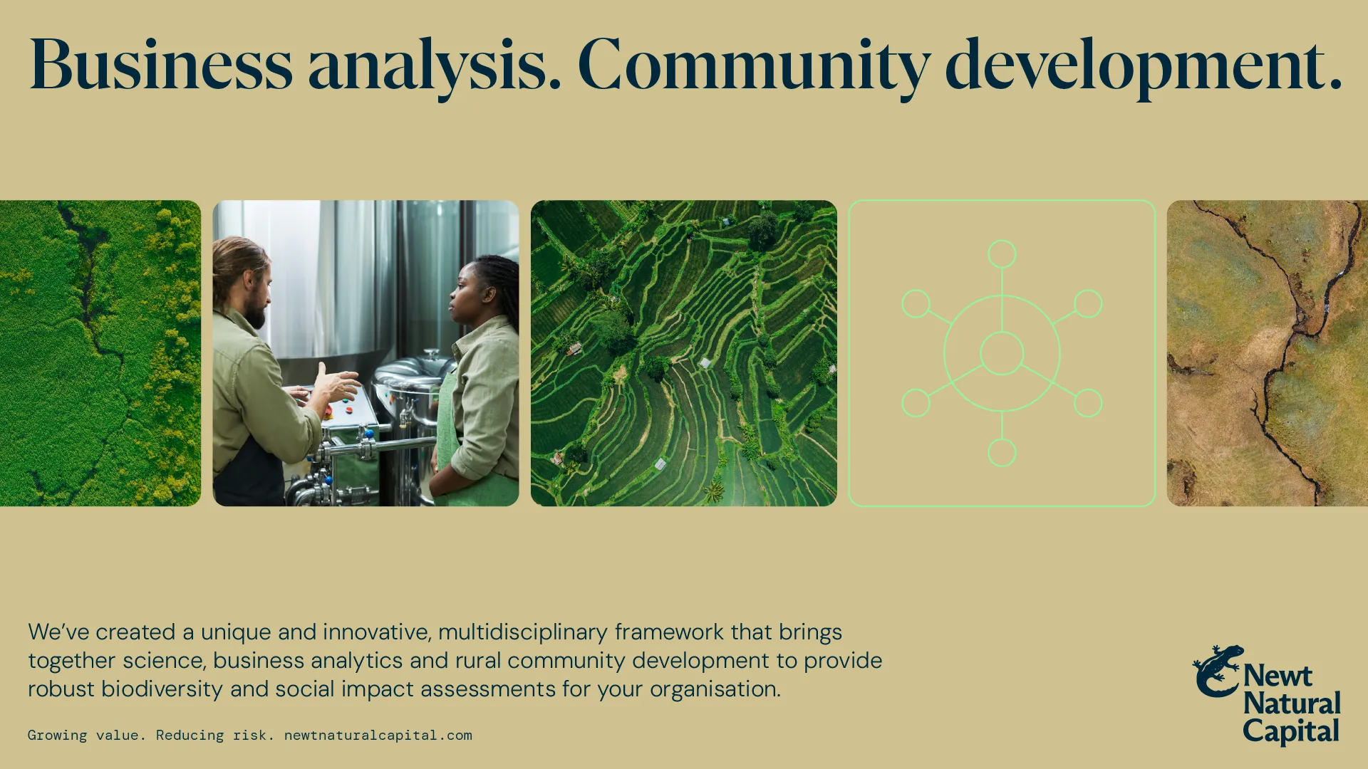 Example of work for Newt Natural Capital