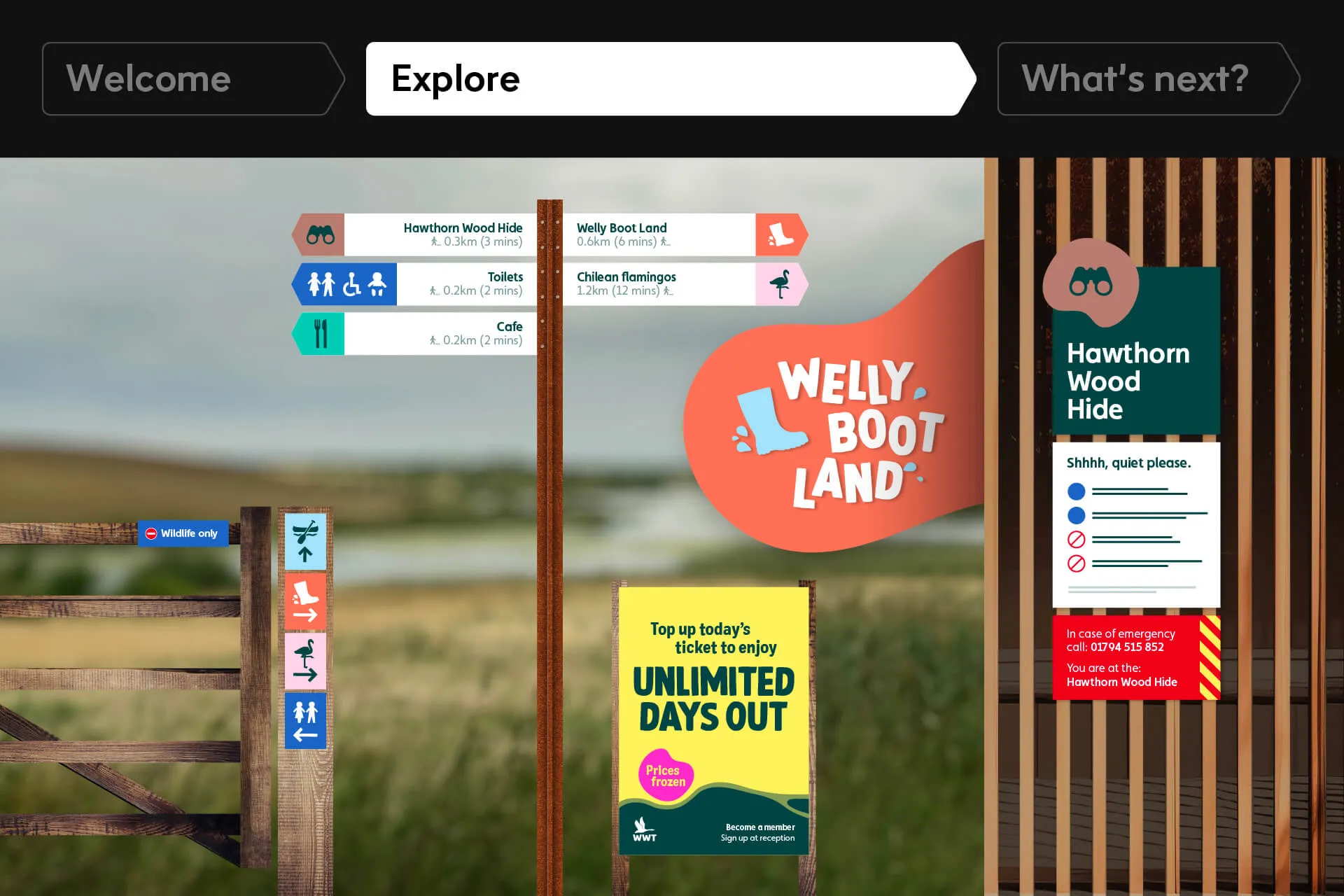 Example of work for WWT