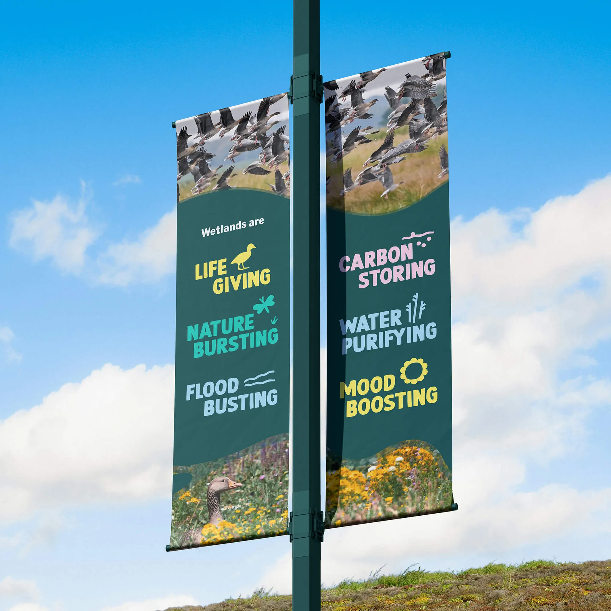 Example of work for WWT