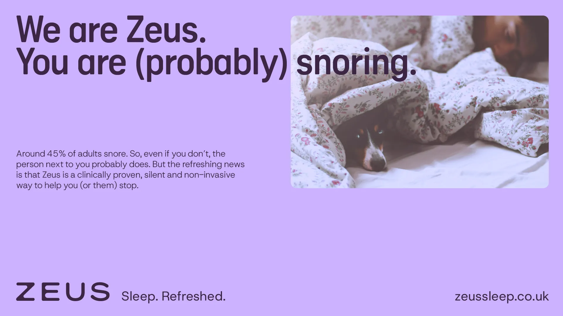 Example of work for Zeus