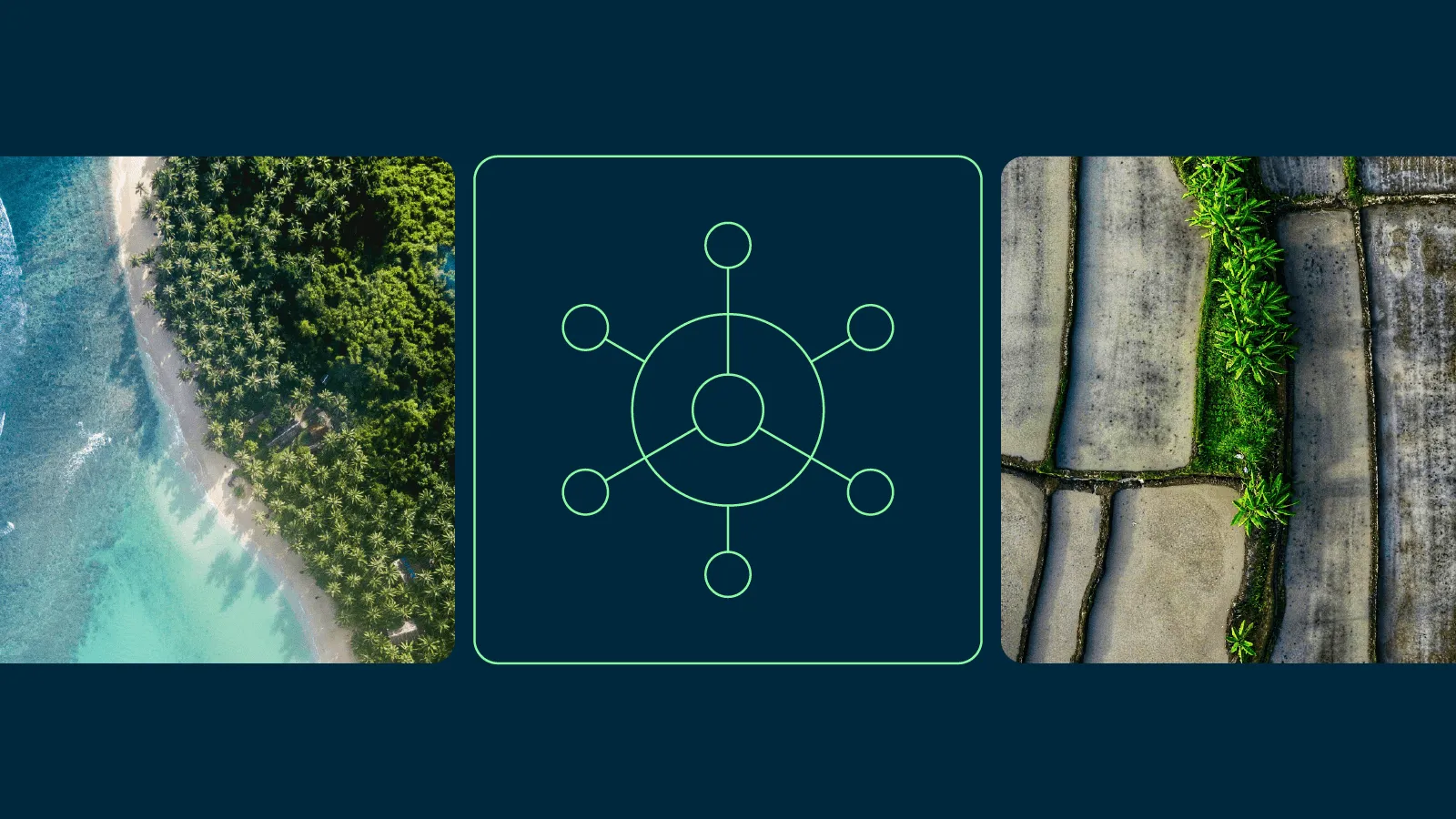 Image showcasing work for Newt Natural Capital