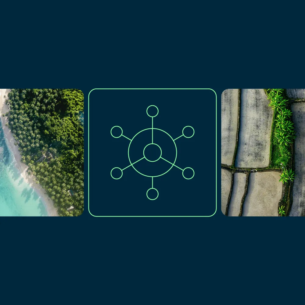 Image showcasing work for Newt Natural Capital