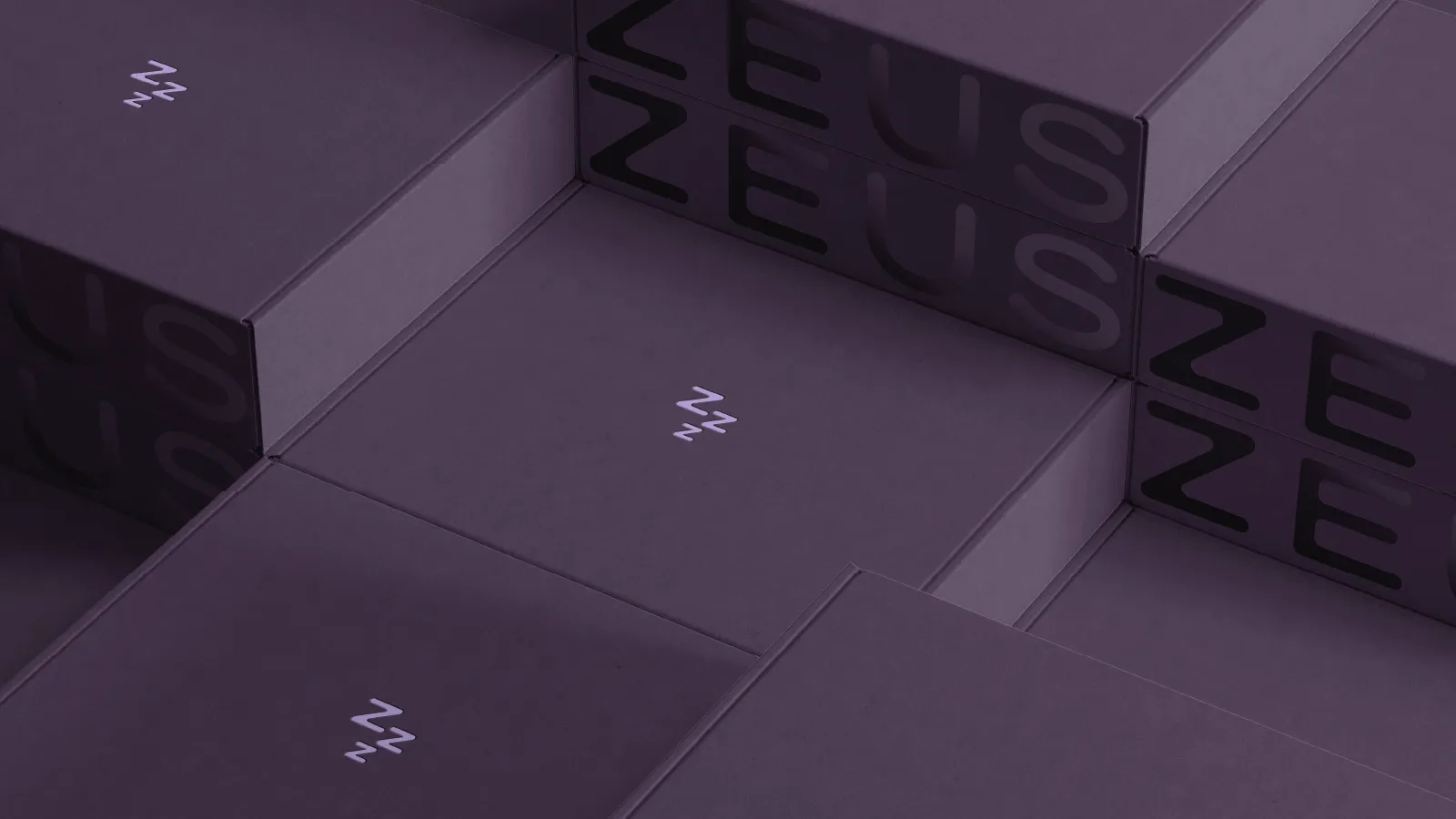 Image showcasing work for Zeus